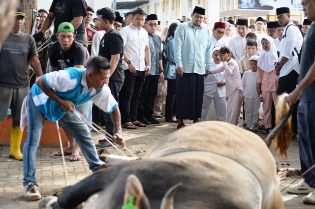 20260527_214130_resize_5 Gubernur Sumut Bobby Nasution melaksanakan Salat Iduladha di Lapangan Merdeka Binjai juga menyaksikan hewan kurbannya disembelih.