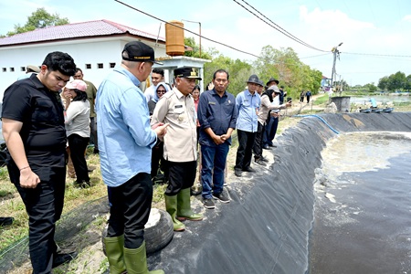 Wakil Gubernur Sumatera Utara Surya bersama Pj Sekretaris Daerah Provinsi Sumut Sulaiman Harahap meninjau Unit Pelaksana Teknis Daerah (UPTD) Budidaya Ikan Air Payau dan Laut (BIAPAL) di Desa Pekan Sialang Buah, Kecamatan Teluk Mengkudu, Kabupaten Serdangbedagai, Selasa (12/5/2026). Foto/Diskominfo Sumut